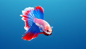 玩加电竞 - 专业电竞赛事报道与数据分析平台