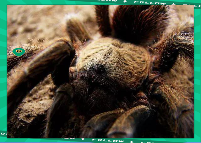 玩加竞技-莱万多夫斯基赛事官方发布比分优势明显新规，湖人争议不断！的简单介绍